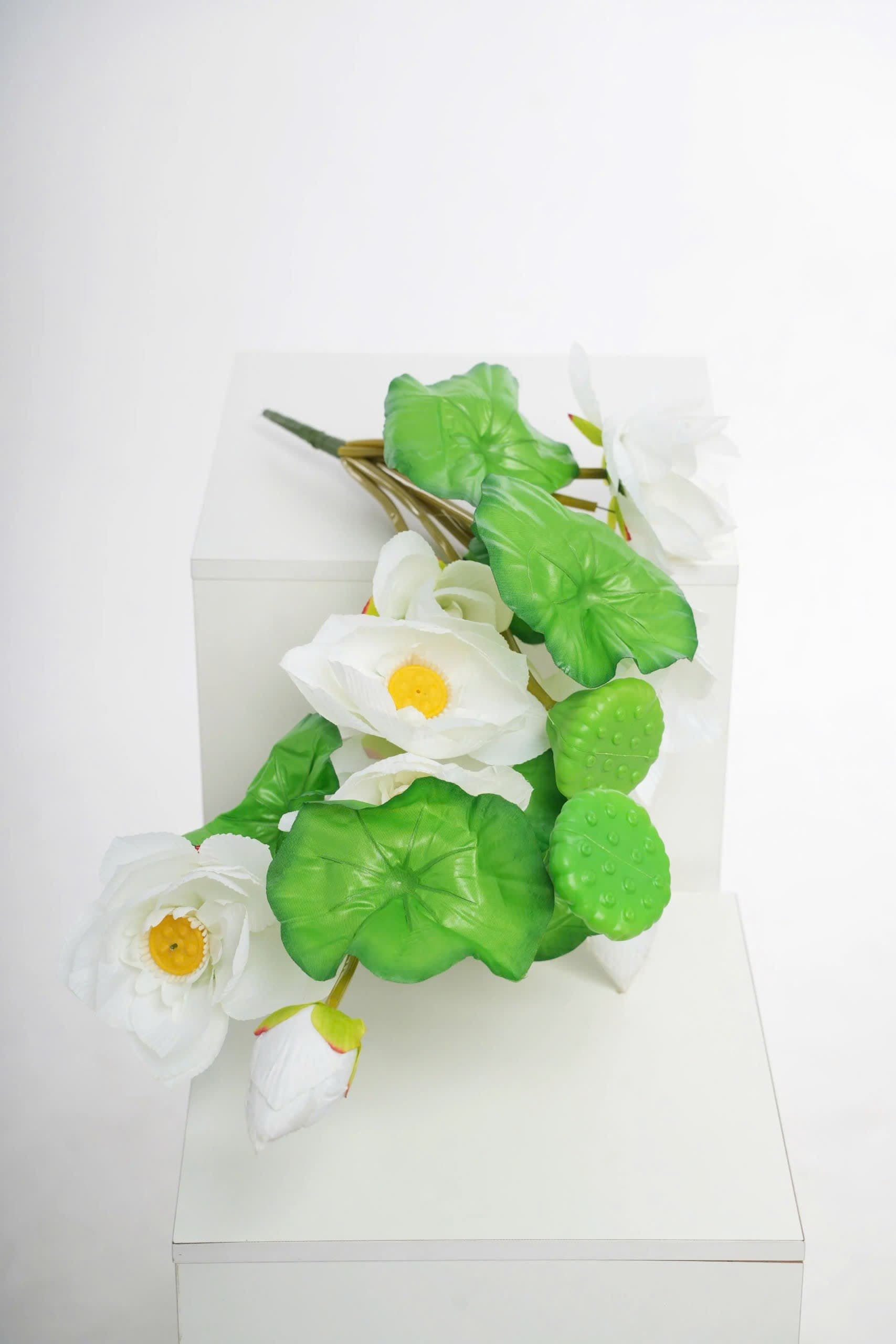 Bó sen chùm trắng